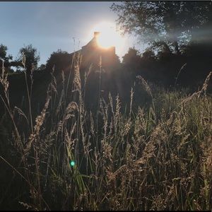 Meet your Posher, Brooklyn